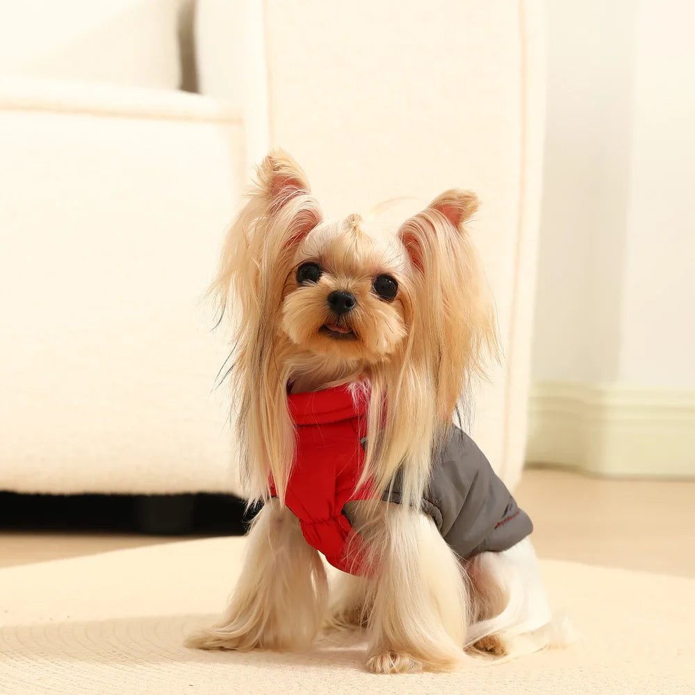 the GLOWGUARD REFLECTIVE JACKET - Reflective Dog Jacket/Coat for Small/Medium Dogs/Cats, Winter Warm Dog Clothes With D-Ring, Windproof Yorkshire Pug Puppy Clothing