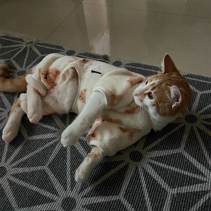 Pet Autumn Winter Pajamas Puppy Cute Bear Jumpsuit Dog Plush Jacket for Small Medium Dogs Cats Clothes Chihuahua Teddy Costumes