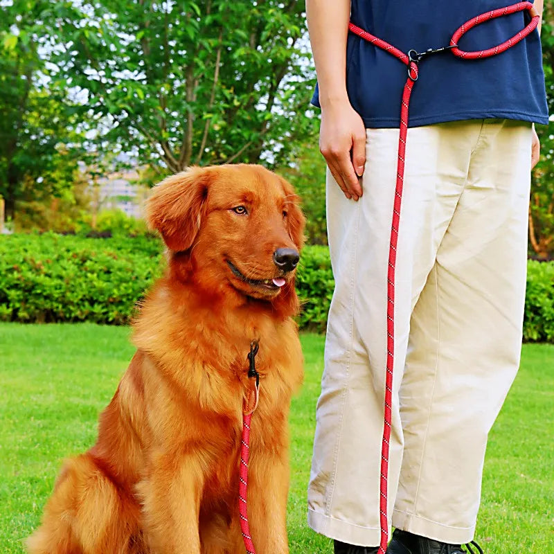 the ACTIVEGLOW HANDS-FREE LEASH - Dog Leash Hands Free Leashes for Dog Walking, Adjustable Dogs Leash, Reflective Dogs Chain Multi-Functional Traction Rope 230cm