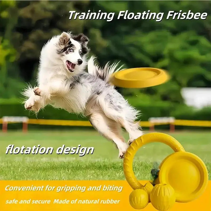 3/4pcs Interactive Dog Toy Set Flying Disc Rope Ball Bite Resistant EVA Material for Aggressive Chewers Large Breed Dog Training