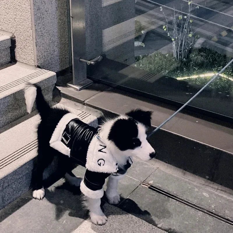 the BIKER DOG - Thickened Fur Integrated Motorcycle Jacket, Pet Clothes, Winter Clothing, Small Dog, Teddy, Pomeranian, Schnauzer