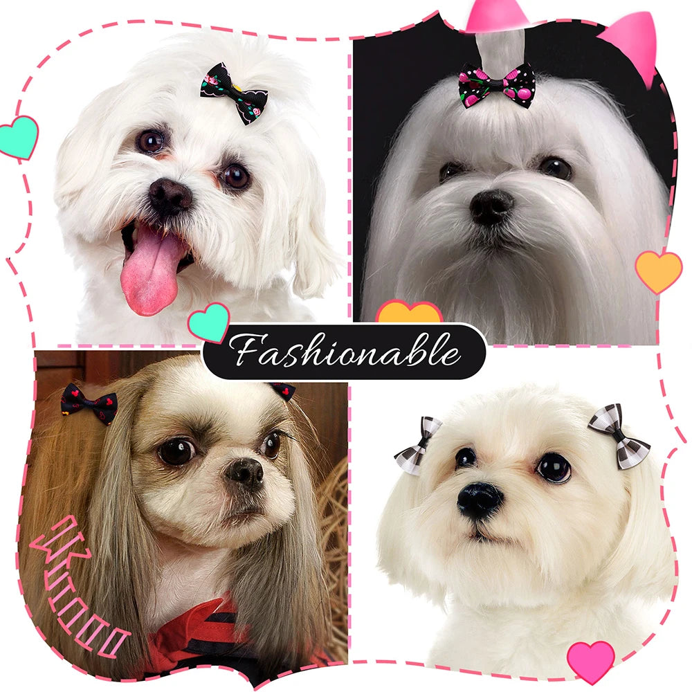 the MINI PAWBLOOM HAIR BOW SET - 10/20/30PCS Small Dog Hair Bows, Pet Bows, Rubber Bands, Cute Pet Puppy Hair Bows for Small Dog, Hair Accessories, Pet Supplies