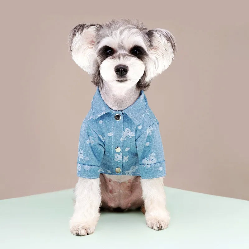 Luxury Dog Clothes Pet Dog Shirt for Small Dogs Spring Warm Puppy Costume Cute Print Cat Shirt Chihuahua Dog Clothes Pet Outfits