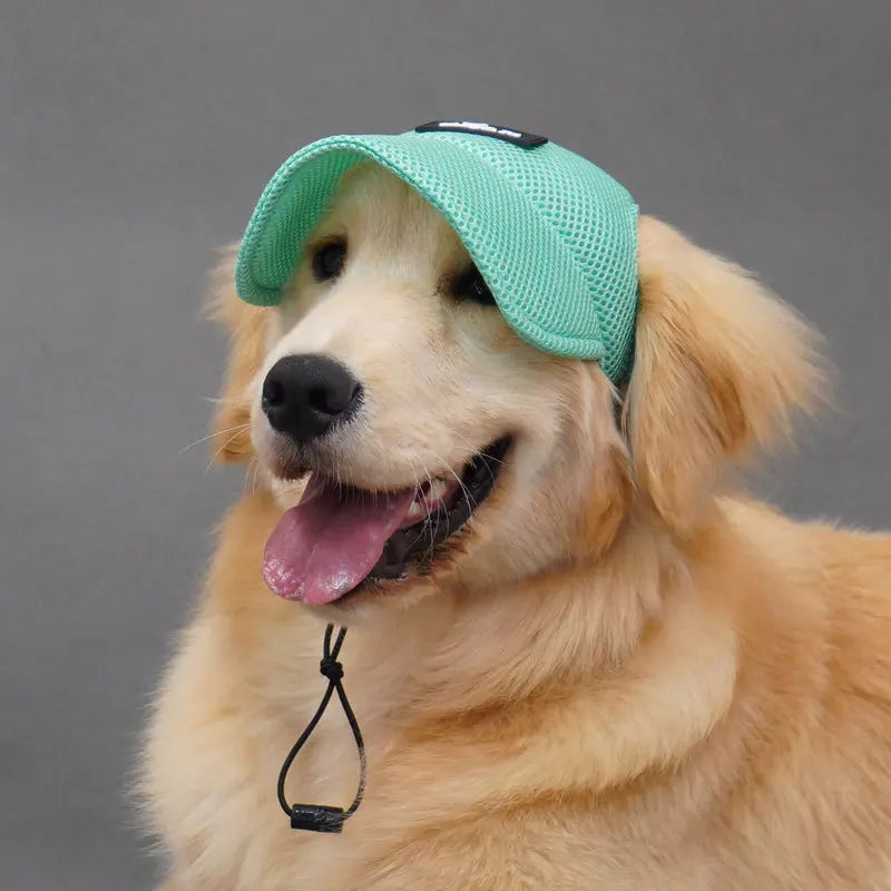 the SUNPAWS BREATHABLE HAT - New Summer Pet Dog Hat, Breathable Sun Protection, Ears Exposed Design, Golden Retriever, Dog Cap, Summer Shade Pet Accessories