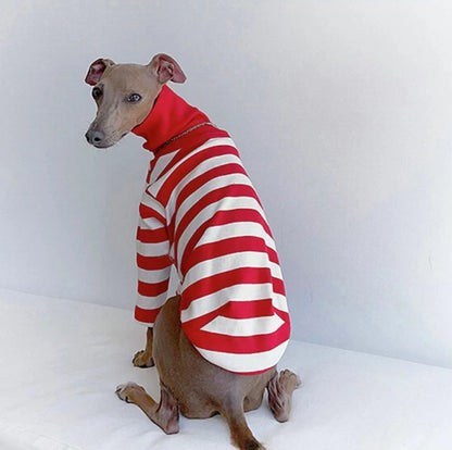 Cute High Neck Colorblock Italian Greyhound Clothes Cotton Stretch Puppy Clothes Whippet/Bellington Medium Dog Pet Clothes