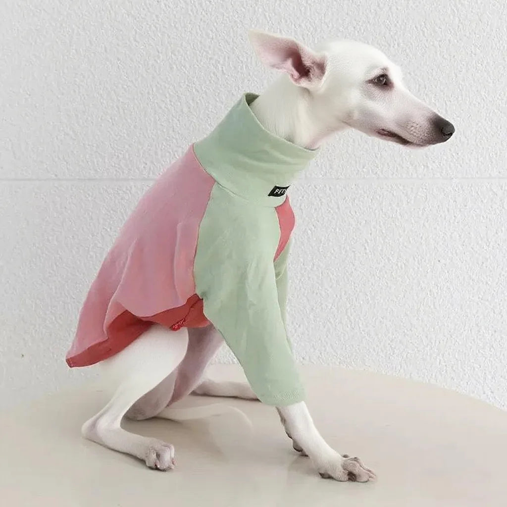 8colors Italian Greyhound Hound Two-Legged Clothes Fashionable Multicolor Soft Comfortable Elastic Fashion Patchwork Dog Clothes