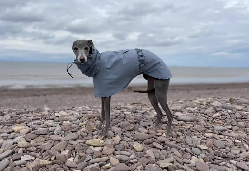 the DOBBIN DOG - Spring and Autumn Outing Breathable and Comfortable Dobbin Dog Clothes, Casual Warm Pet Raincoat Leisure Dog Cloak Raincoat