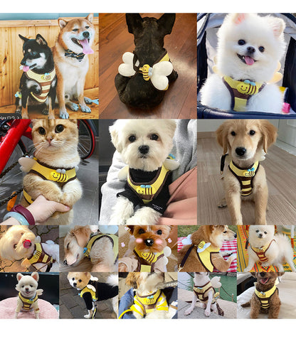 the BUZZBUDDY WALK SET - Cute Bee Kitten/Puppy/Dogs Harness and Leash Set, Soft Breathable Dogs Vest Harness Leads, Pet Clothes for Small Dogs, Chihuahua