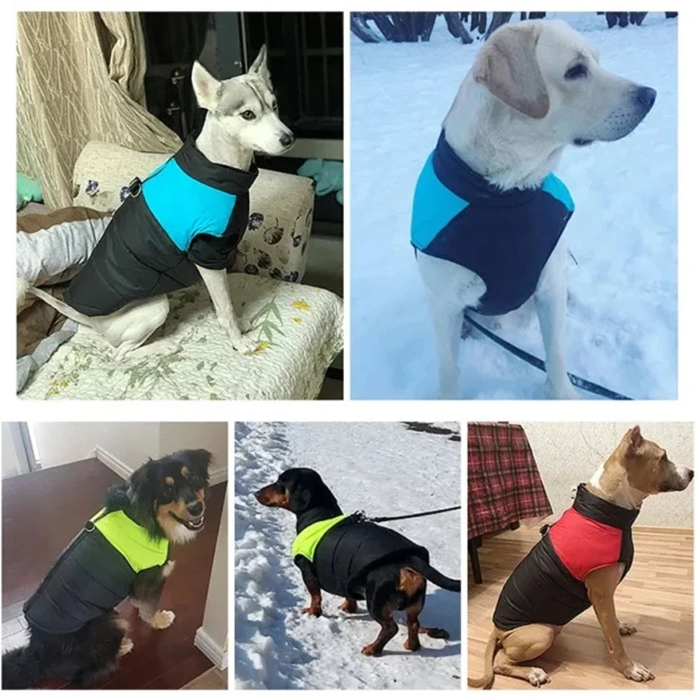 Winter Puppy Costume Warm Hiking Outdoor Pet Clothes For Small Large Dogs Cats Waterproof Zipper Vest Coat With D-Ring