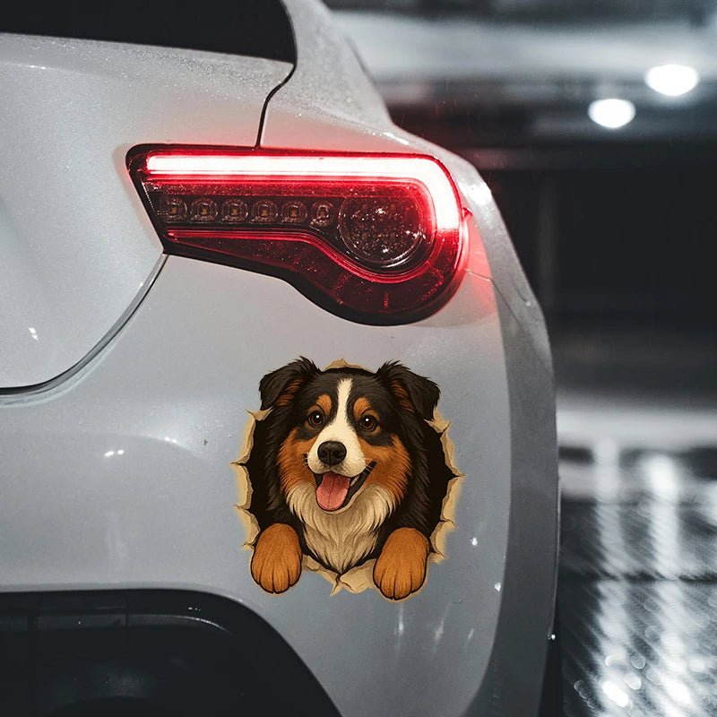 Australian Shepherd Car Sticker – Funny Peeking Dog Vinyl Decal, Waterproof Pet Lover Decoration for Vehicles,window,wall