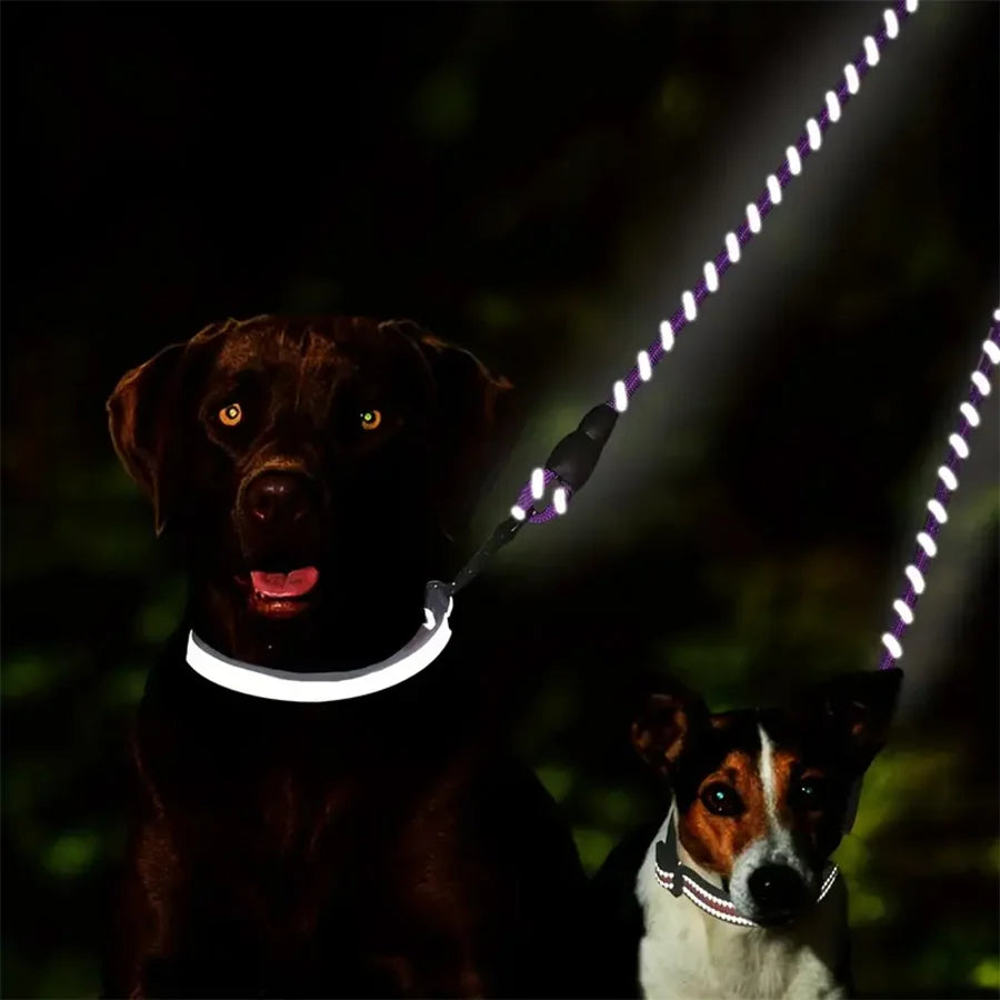 the TANGLELESS TWIN LEASH - Dual Dog Leash - 360 Swivel No Tangle Walking Leash for Small Dogs - Double the Fun and Safety on Walks