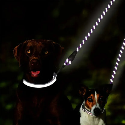 the TANGLELESS TWIN LEASH - Dual Dog Leash - 360 Swivel No Tangle Walking Leash for Small Dogs - Double the Fun and Safety on Walks