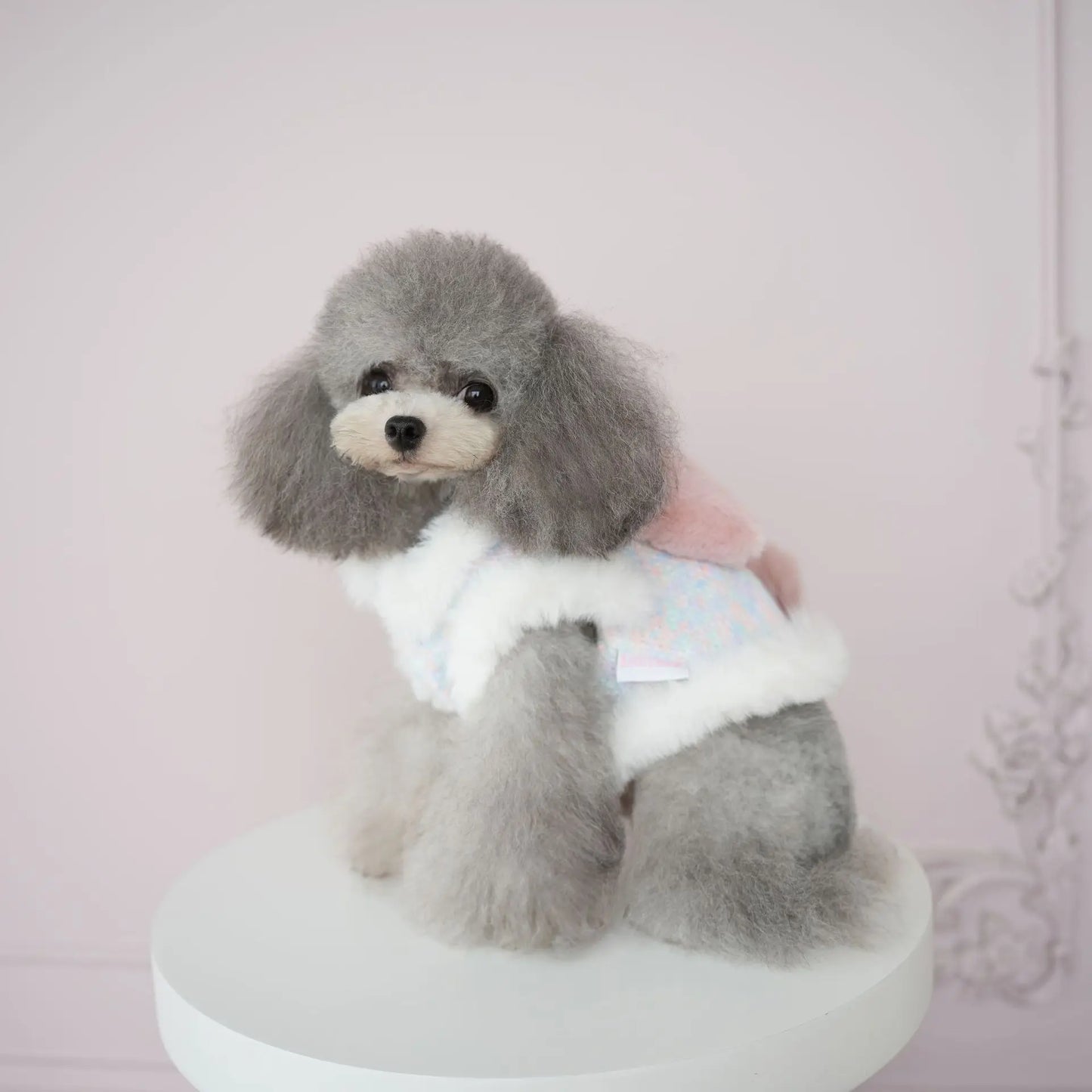 Pet Colorful Bow Set Skirt Autumn/Winter Bow Plush Coat Dress Warm Clothes Teddy Clothes Puppy Clothes for Small Dogs