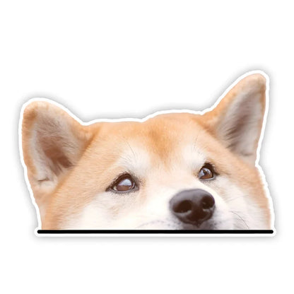 Cute Shiba Inu Dog Car Decals Bumper Window Stickers Wear resistant Easy to apply Car Accessories Waterproof Vinyl Material