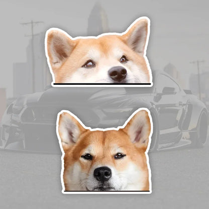 Cute Shiba Inu Dog Car Decals Bumper Window Stickers Wear resistant Easy to apply Car Accessories Waterproof Vinyl Material