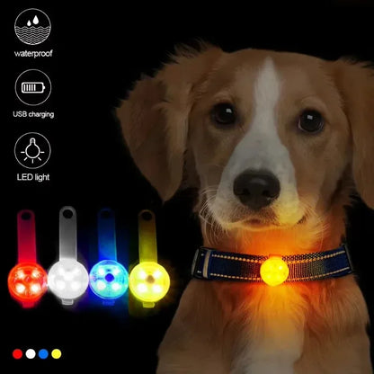 the LUMIPAWS RECHARGEABLE SAFETY LIGHT - LED Pet Tracking Luminous Pendant, Bright Light Dogs, Collars Dog Wear, Loss, Weatherproof LED Safety Light, USB Rechargeable Safety