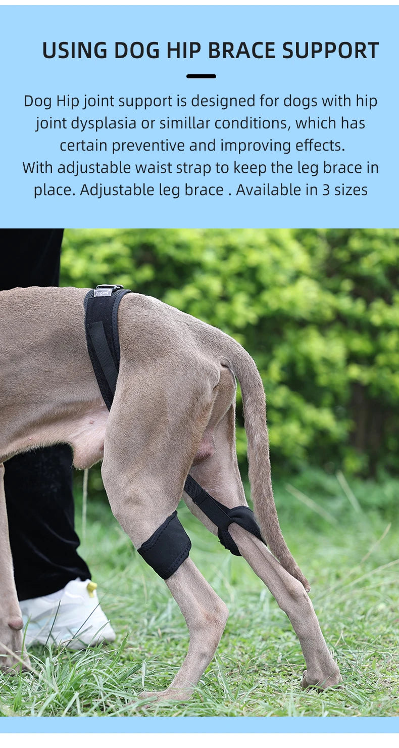 Pets Dogs High Quality Hind Leg Guard Recovery Orthodontic Band for Pet Dog Protective Hip Joint Correction Restore Pet Supplies