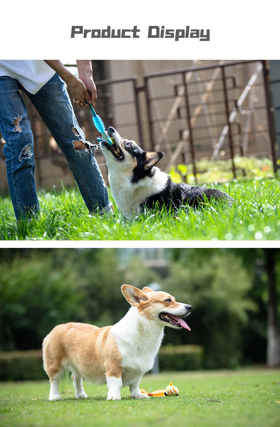 GiGwi Dogs Toys Suppa Puppa Q Series Plush Dog Teething Bite Resistance Molar Plush Rubber Sound Interactive Toy for Pets Puppy