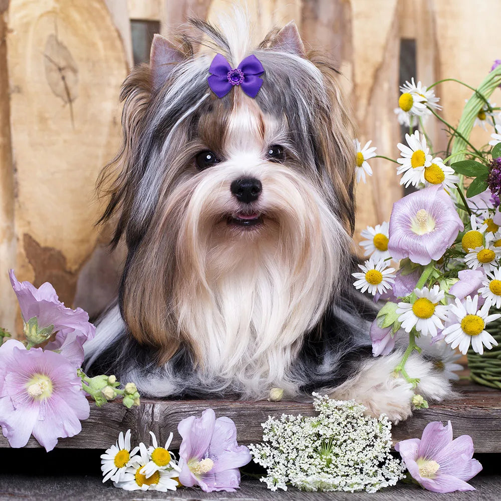 the PRETTY PURPLE BOW - Handmade Puppy Bows, 10/20PCS New Dog Bows with Rubber Bands, Purple Series Dog Bowknots, Pet Hair Accessories for Small Dogs