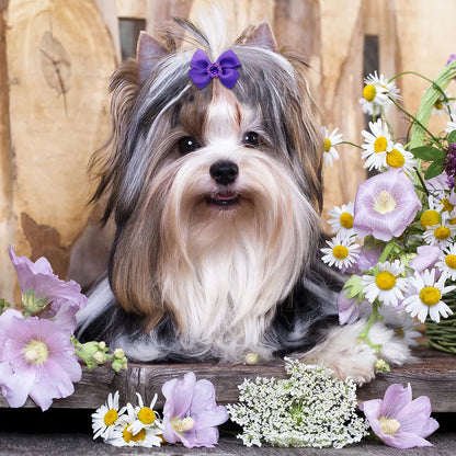 the PRETTY PURPLE BOW - Handmade Puppy Bows, 10/20PCS New Dog Bows with Rubber Bands, Purple Series Dog Bowknots, Pet Hair Accessories for Small Dogs