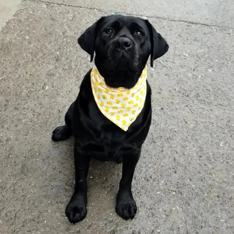 the BREEZYPAWS COTTON BANDANA - Cotton Pet Bandana for Dogs/Cats, Summer Thin Dog Triangular Bandage Scarf, Golden Retriever Bibs, Mascotas, Grooming Accessories