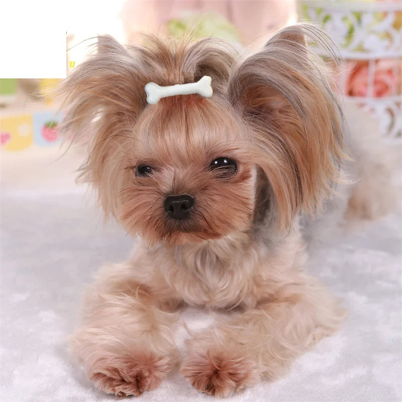 the PAWCHARM BONE HAIR CLIP - New Dog Hairpin Puppy/Kitten Bone Hair Clips, Cute Duckbill Clip, Pet Hair Accessories, Pet Hair Grooming, Dog Accessories