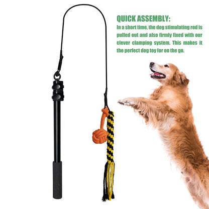 Dog Toy Flirt Pole Teeth Grind Training Extendable Interactive Funny Chasing Tail Teaser Exerciser for Pets Outdoor Playing Toys