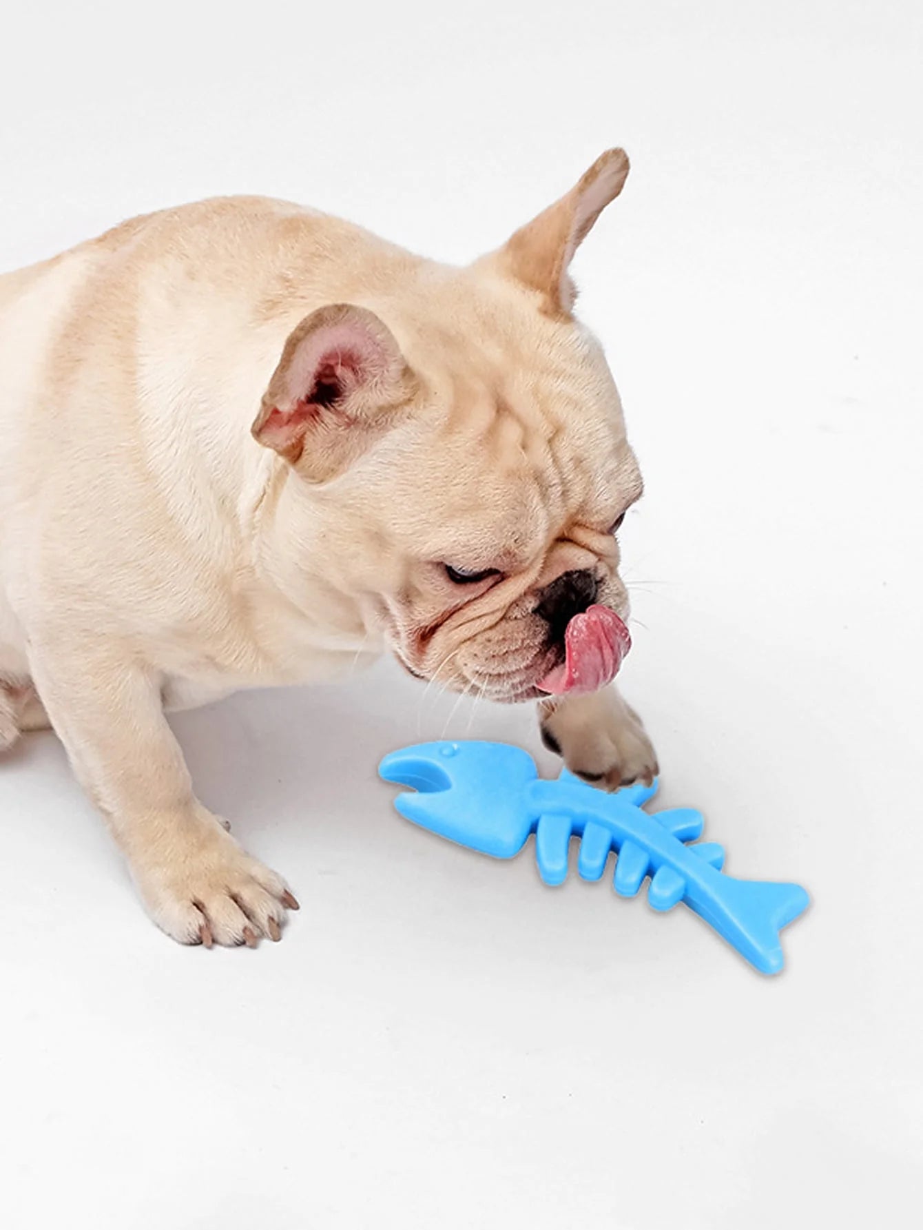 1pc-Anti Bite Fishbone Dog Toy - Suitable for training puppies of all breeds and sizes