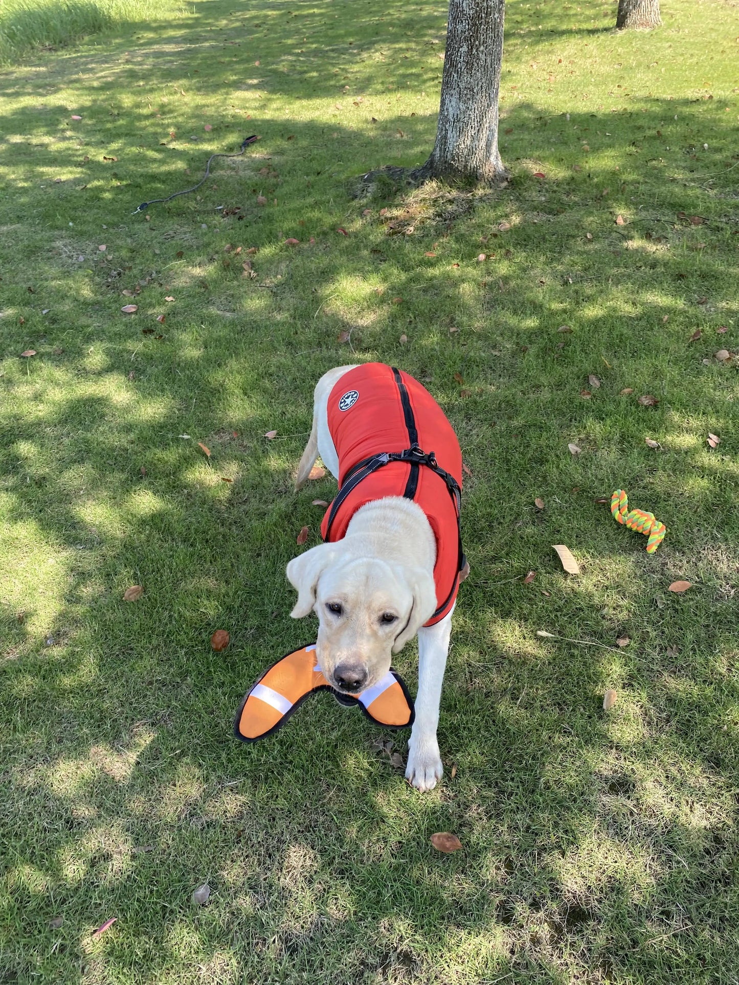 Pet Clothes Dog Warm Winter Jacket with Harness Build in For Large Medium Small Dogs Winter Pet Supplies Kids Gifts