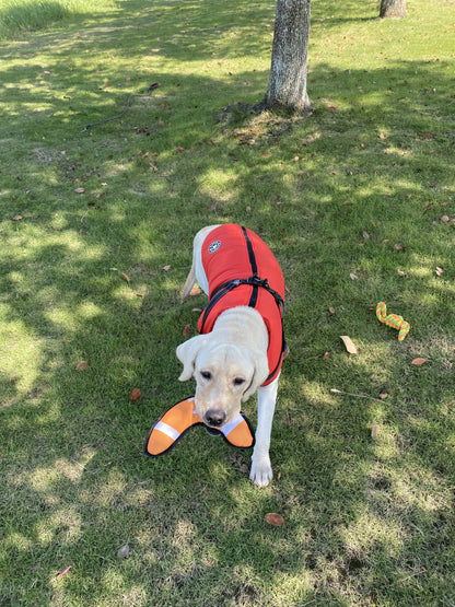 Pet Clothes Dog Warm Winter Jacket with Harness Build in For Large Medium Small Dogs Winter Pet Supplies Kids Gifts