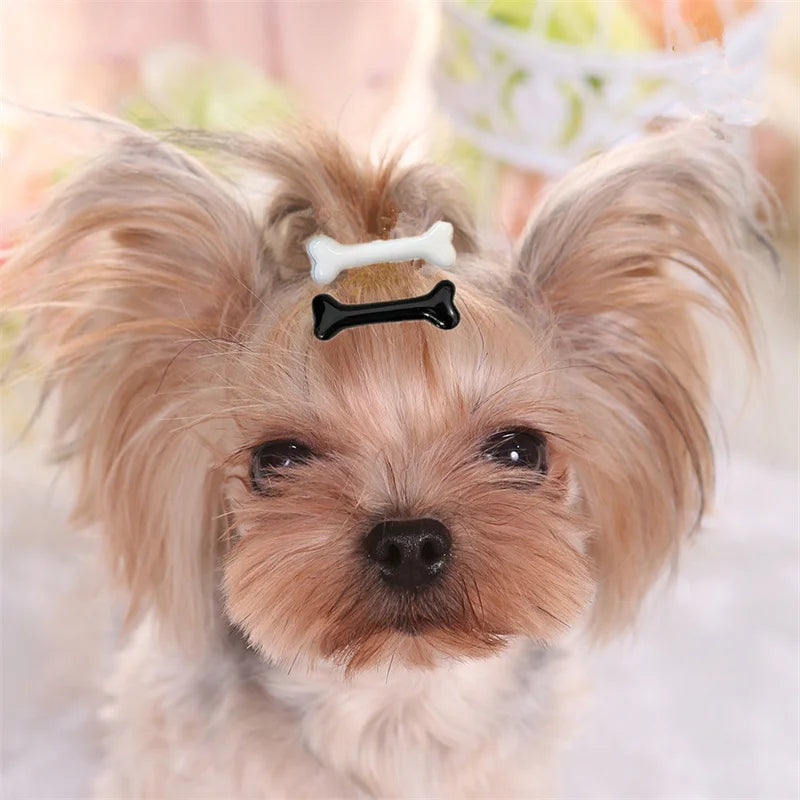 the PAWCHARM BONE HAIR CLIP - New Dog Hairpin Puppy/Kitten Bone Hair Clips, Cute Duckbill Clip, Pet Hair Accessories, Pet Hair Grooming, Dog Accessories