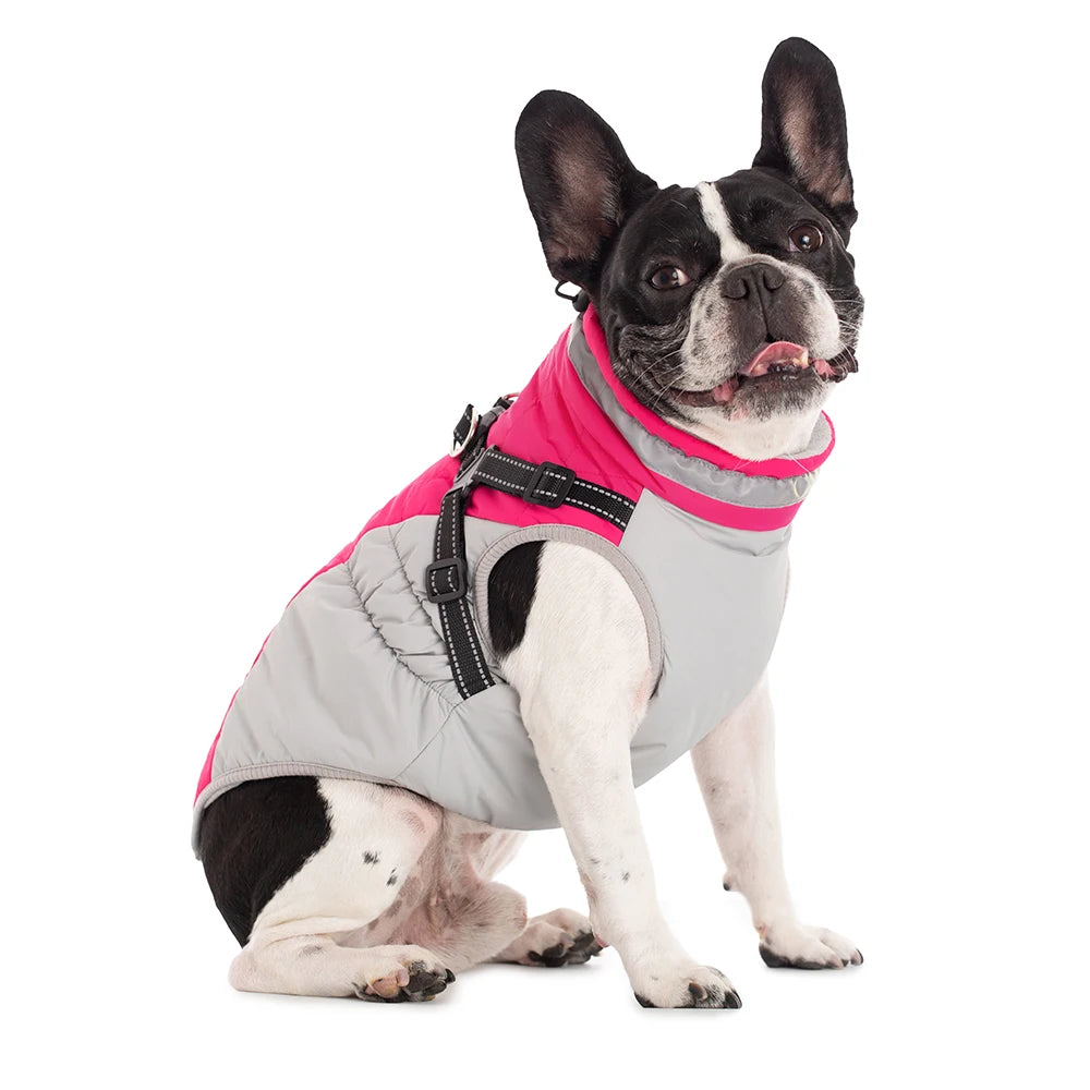 the PAWARMOR HARNESS JACKET - Waterproof Pet Jacket with Harness, Winter Warm Dog Clothes for Small/Large Dogs, Labrador Coat, Chihuahua, French Bulldog Outfits