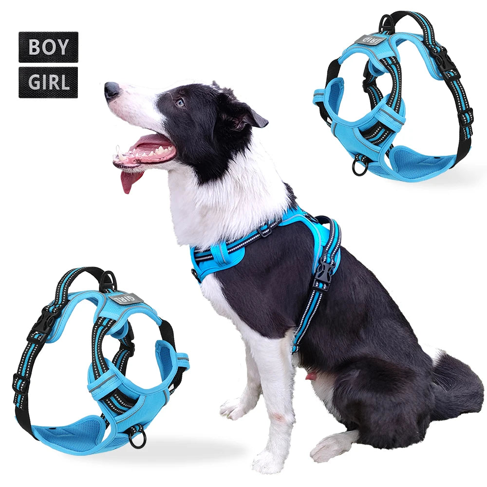 the REFLECTAGUARD PADDED HARNESS - Dog Harness, Pet Harness with Pull - 1 Leash Clip, Adjustable Padded Dog Vest, Reflective Non-Choking Pet Vest with Free Nameplate