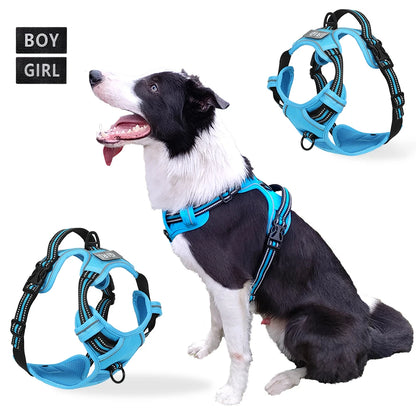 the REFLECTAGUARD PADDED HARNESS - Dog Harness, Pet Harness with Pull - 1 Leash Clip, Adjustable Padded Dog Vest, Reflective Non-Choking Pet Vest with Free Nameplate