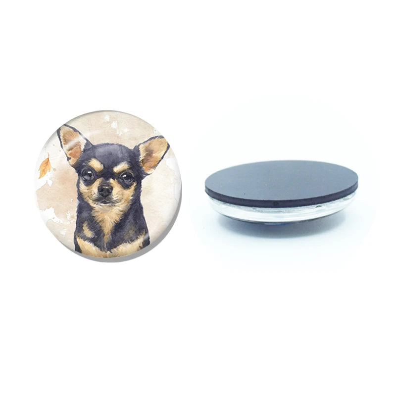 New Chihuahua Magnet Fridge Stickers Decoration Home Refrigerator Decor Glass Dome Crystal Souvenir