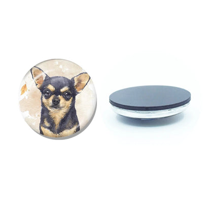 New Chihuahua Magnet Fridge Stickers Decoration Home Refrigerator Decor Glass Dome Crystal Souvenir