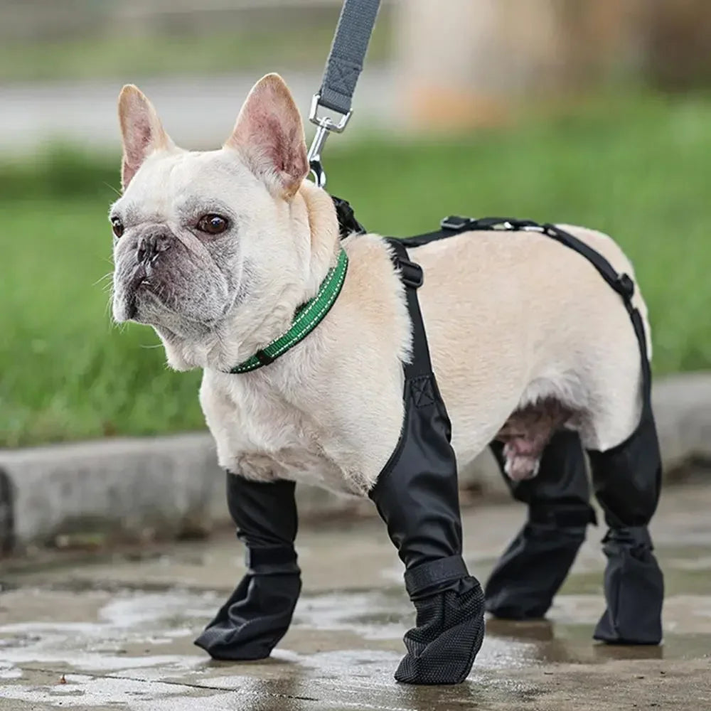 the LEATHER LEGGINGS - Waterproof Dog Shoes, Adjustable Dog Boots, Pet Breathable Shoes for Outdoor Walking, Soft French Bulldog Shoes, Pet Paws Protector