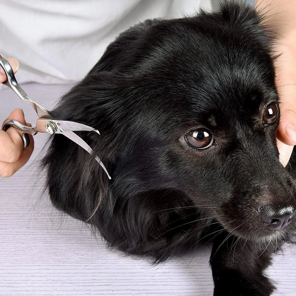 Pet Hair Scissors Grooming Stainless Steel Dog Scissors Pets Shears Animal Cutting Feet Ear Eye Hair Trimming