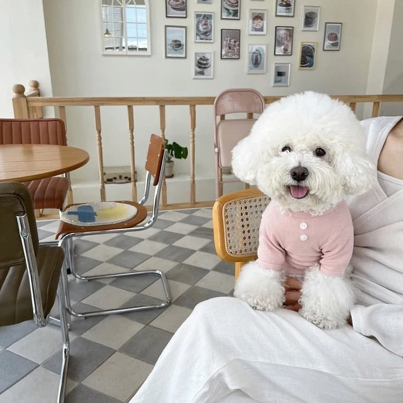 Autumn Winter Thin Warm Dog Pullover Solid Dog Hoodies Pet Vest Girls Dog Costume Chihuahua Bichon Clothing Letter Cat Dog Shirt