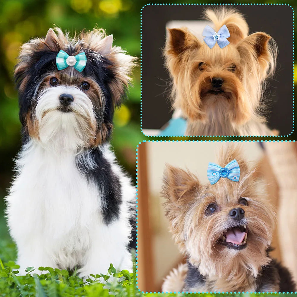 the BLUE GEM BOWKNOTS - Small Dog Bows, 10/20PCS Movable Dog Bows with Rubber Bands, Pet Hair Accessories for Dogs, Blue Series Pet Bowknots, Dog Supplies