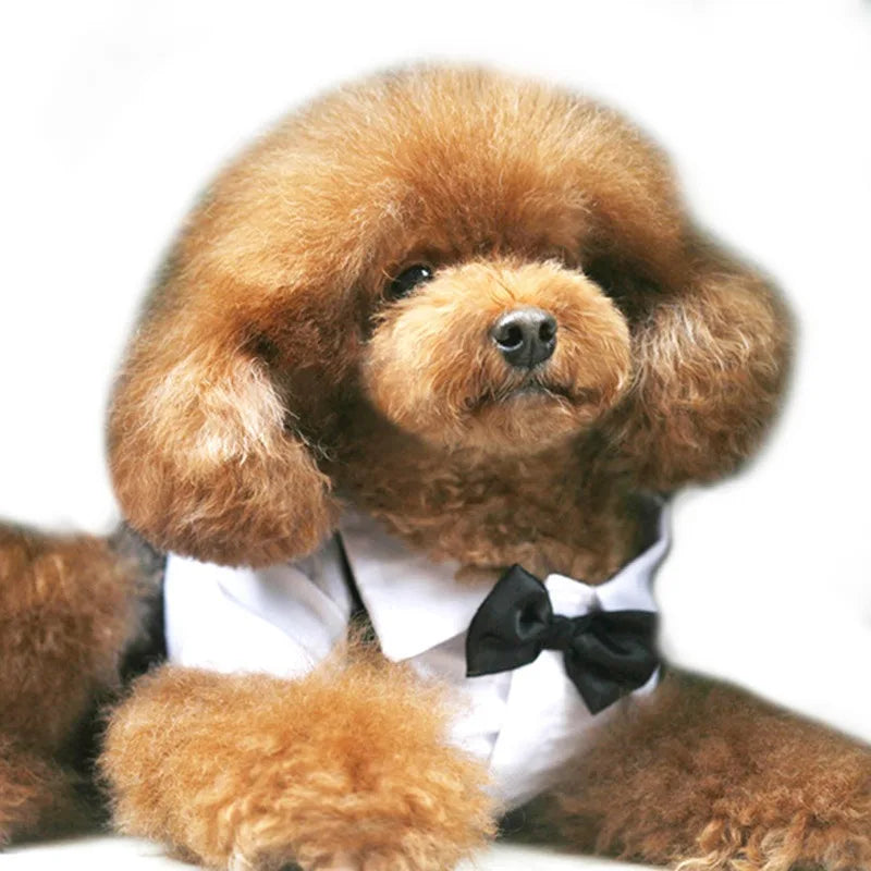 Costume Pet Dog Tuxedo Suit Cat Dog Wedding Birthday Party Formal Shirt with Bow Tie for Puppy Small Medium Dogs Costume Clothes