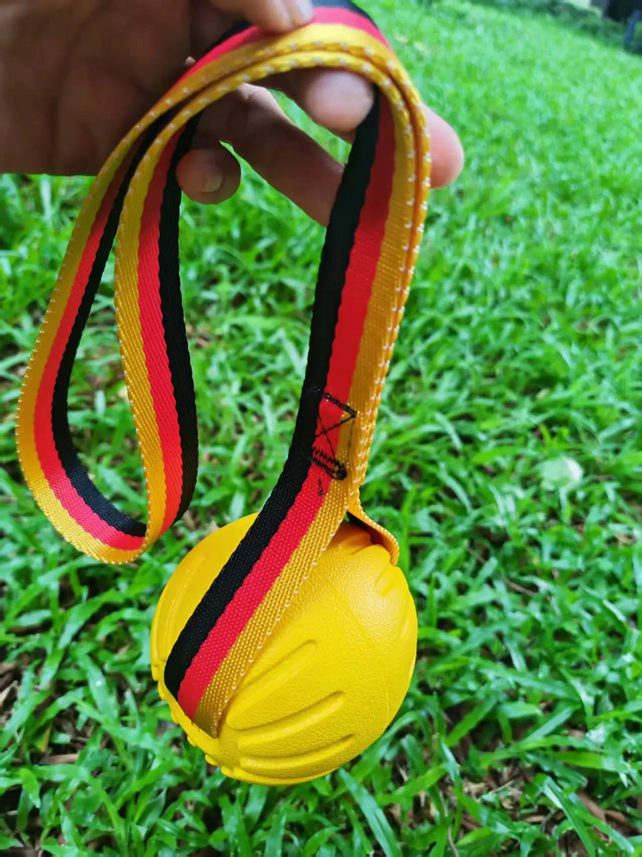 EVA Dog Rope - Attached Chew Resistant Ball, Interactive Tug - of - War Training Toy for Pets