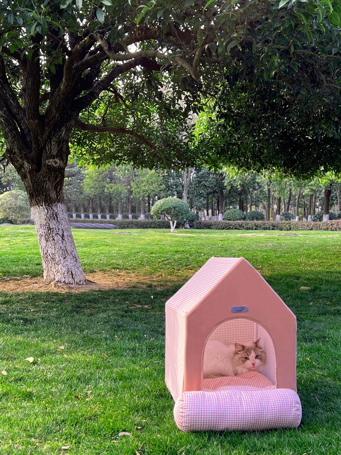 Pet Luxury Princess Deluxe House for Teddy Bear Schnauzer Dogs Cats Puppy Kitten Indoor Fluffy Warm Cozy Kennel Pet House Tent