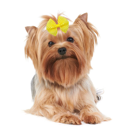 12PCS Lace Dogs Hair Bows With Dotted Dog Hair Rubber Bands Colorful Grooming Dog Hair Bowknot For Puppy Pet Products Pet Items