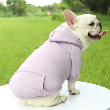 Cheap Dog Hoodie Winter Warm Dog Clothes for Small Medium Dogs French Bulldog Coat Puppy Cat Jacket Chihuahua Yorkie Pet Costume