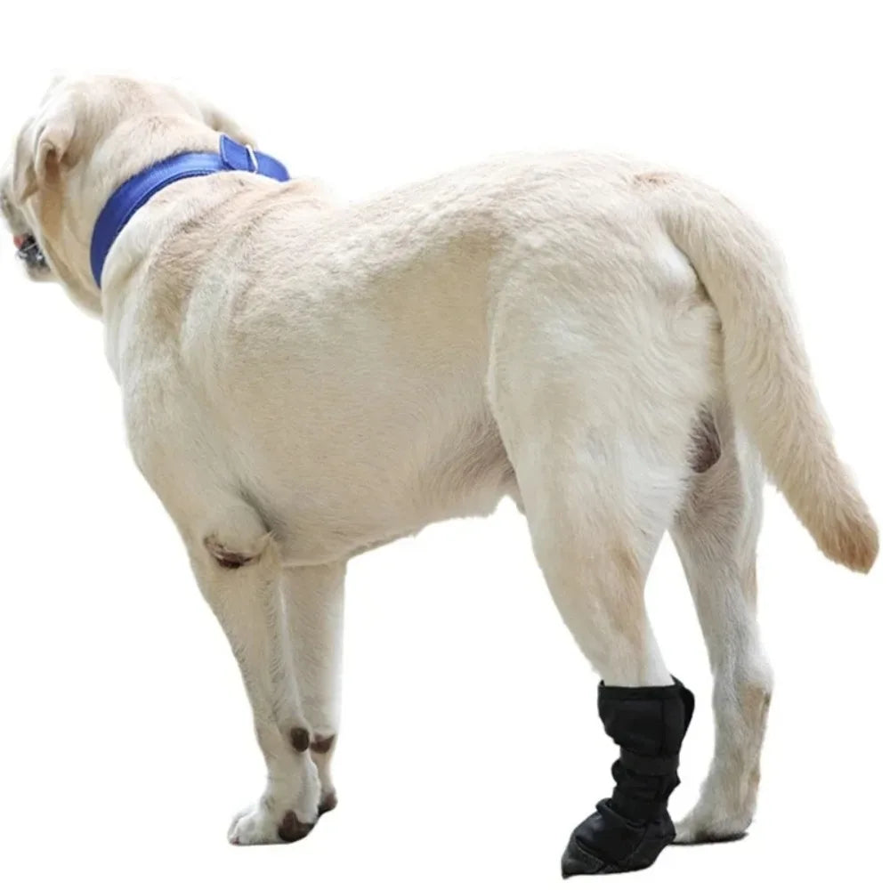 the PAW PROTECTOR - New Anti-Lick Dog Paw Protection Boot, Post Surgical Wound Recovery Dog Paws, Protector Waterproof Pet Supplies