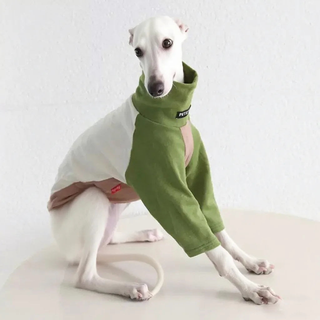8colors Italian Greyhound Hound Two-Legged Clothes Fashionable Multicolor Soft Comfortable Elastic Fashion Patchwork Dog Clothes