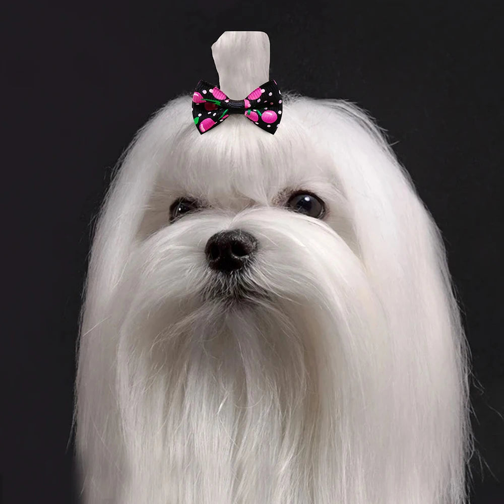 the MINI PAWBLOOM HAIR BOW SET - 10/20/30PCS Small Dog Hair Bows, Pet Bows, Rubber Bands, Cute Pet Puppy Hair Bows for Small Dog, Hair Accessories, Pet Supplies