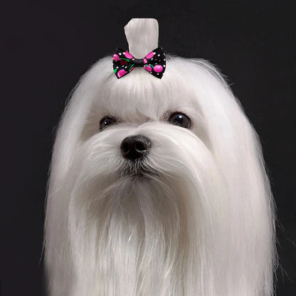 the MINI PAWBLOOM HAIR BOW SET - 10/20/30PCS Small Dog Hair Bows, Pet Bows, Rubber Bands, Cute Pet Puppy Hair Bows for Small Dog, Hair Accessories, Pet Supplies