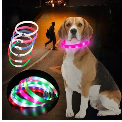 the NIGHTBEAM GLOW COLLAR - New Led Luminous Dog Collar, PVC Waterproof for Large/Medium/Small Dogs, Collar USB Light Night Safety, Pet Glowing Accessories